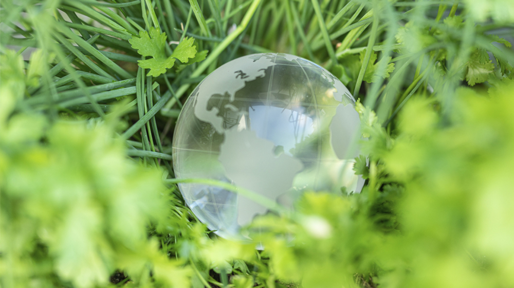 サステナビリティの考え方